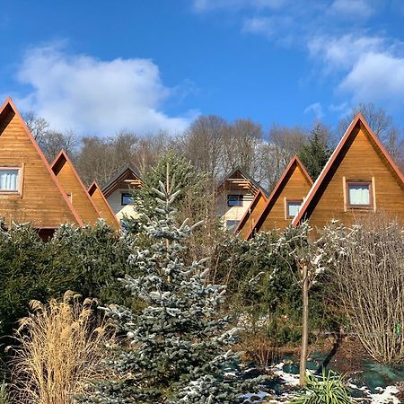 Domki Nad Solina Czarny Kot 509-797-777 Eksteriør billede