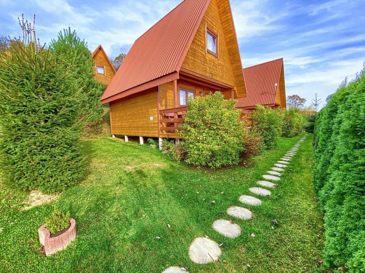 Domki Nad Solina Czarny Kot 509-797-777 Eksteriør billede