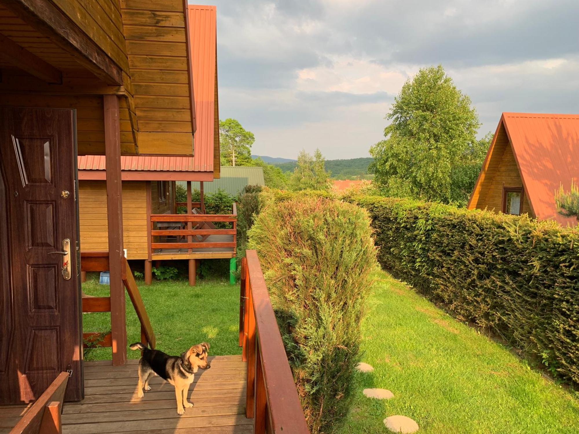 Domki Nad Solina Czarny Kot 509-797-777 Eksteriør billede