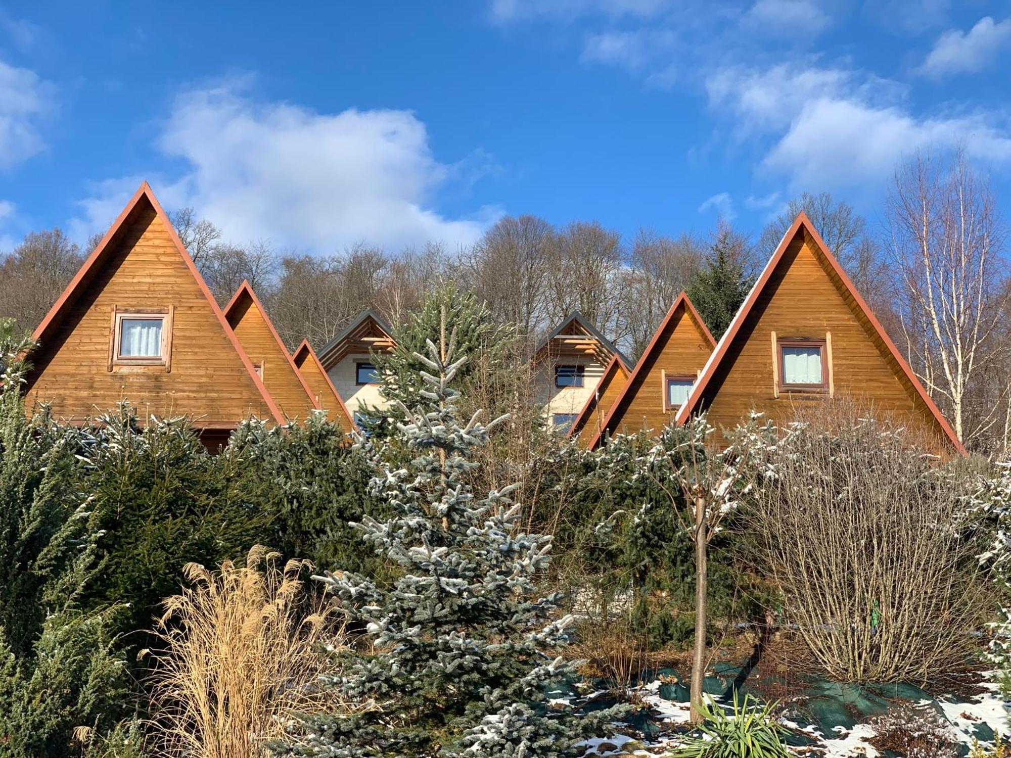 Domki Nad Solina Czarny Kot 509-797-777 Eksteriør billede
