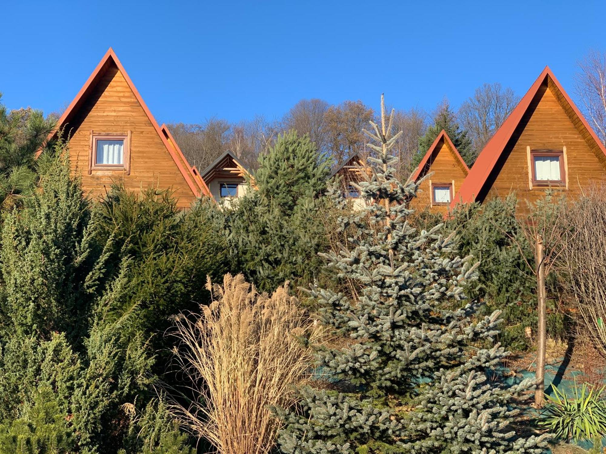 Domki Nad Solina Czarny Kot 509-797-777 Eksteriør billede